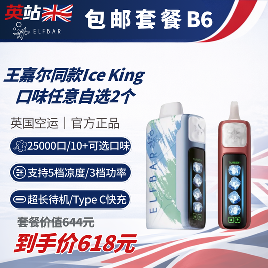 B6 Bundle (FREE Shipping ElfBar Ice King Device x2)